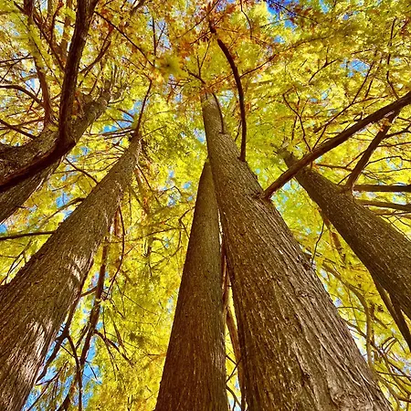 A Passo Lento Nel Castello Di Collepino - Spello