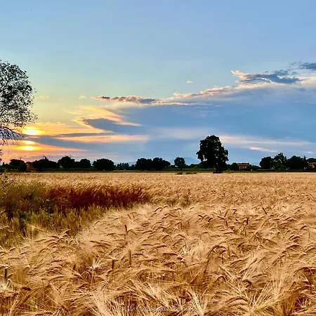A Passo Lento Nel Castello Di Collepino -