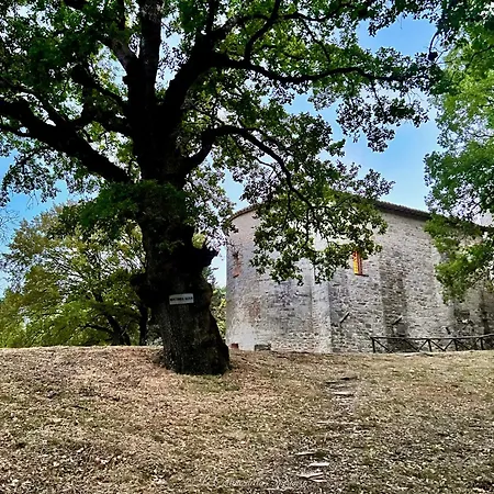 A Passo Lento Nel Castello Di Collepino - Spello
