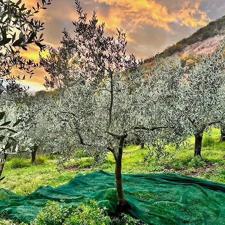 Feriehus A Passo Lento Nel Castello Di Collepino - Spello