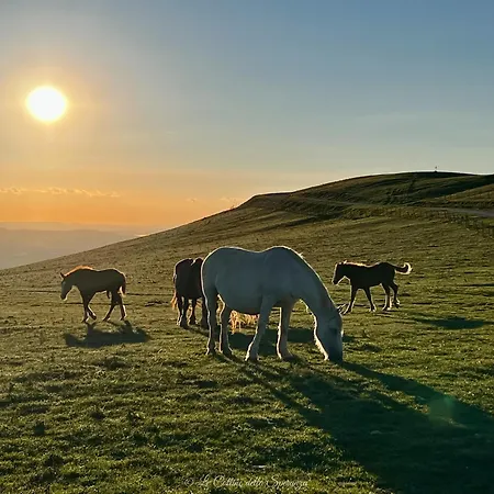 A Passo Lento Nel Castello Di Collepino - Spello