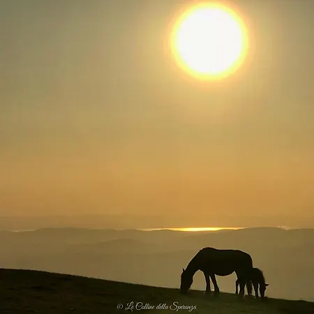 Casa de Férias A Passo Lento Nel Castello Di Collepino - Spello