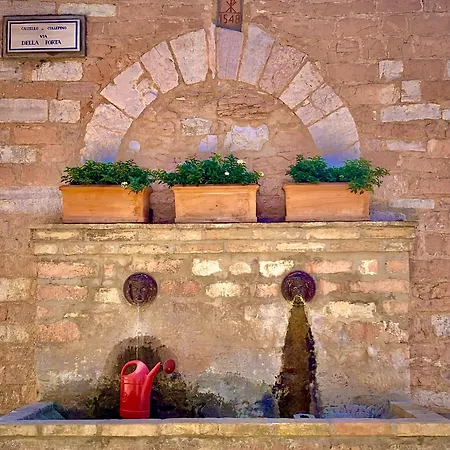 別荘 A Passo Lento Nel Castello Di Collepino - *