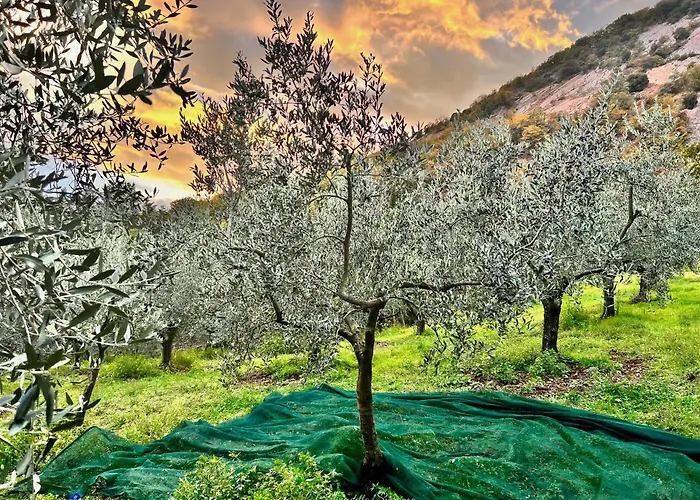 Hébergement de vacances A Passo Lento Nel Castello Di Collepino - Spello